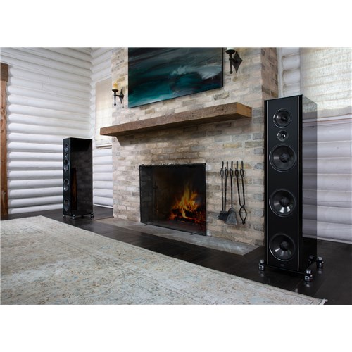 186A2206 Synchrony T800 in Log Home with Fireplace